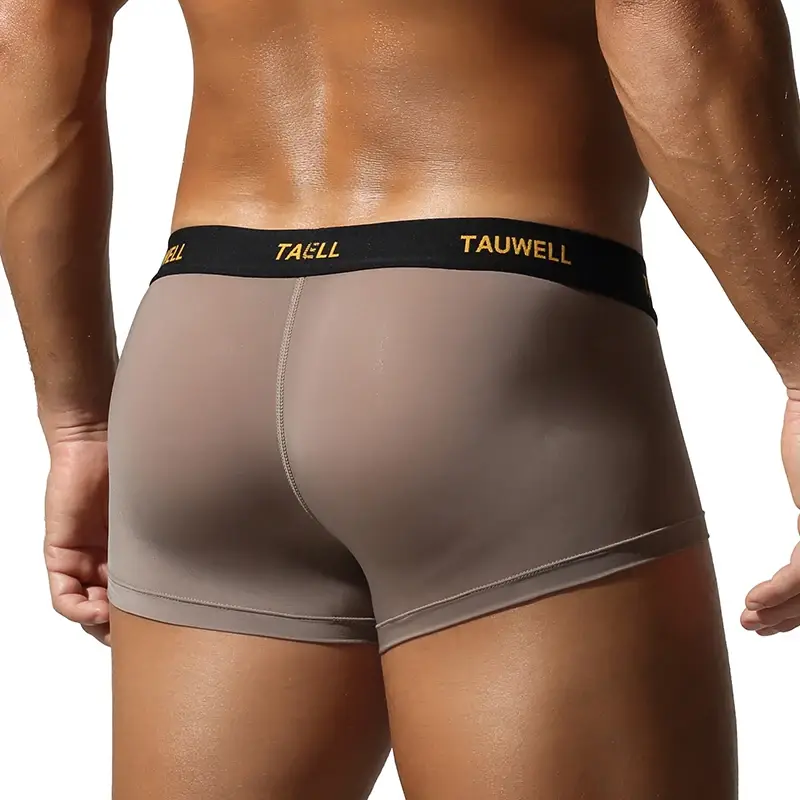 Men's Underwear Comfortable Cool Thin Sexy Semi-Transparent Flat Angle Pants with U-Shaped Pouch Briefs