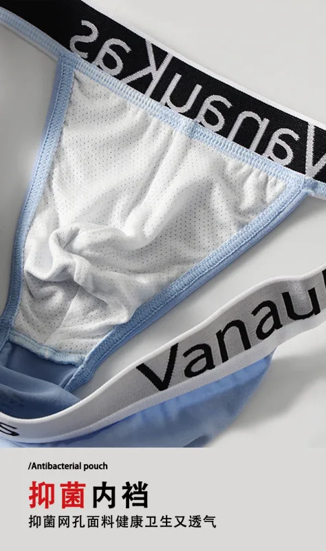 Men's High Cut Panties Soft Modal Fabric Low Rise Briefs Sexy Comfortable Underwear