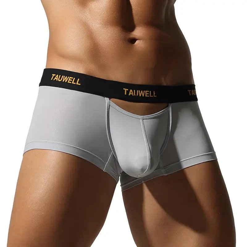 Men's Underwear Comfortable Cool Thin Sexy Semi-Transparent Flat Angle Pants with U-Shaped Pouch Briefs
