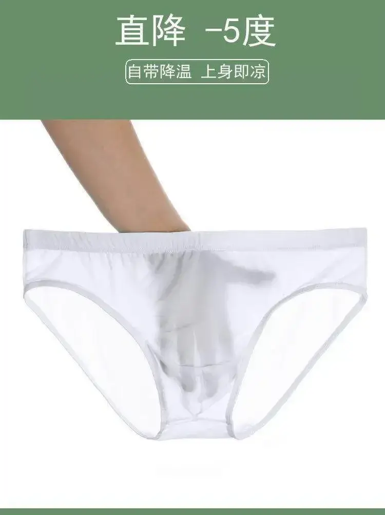 Mens Lightweight Silk See Through Bikini Briefs Solid Seamless Quick Dry Transparent Underwear Breathable Daily Intimates