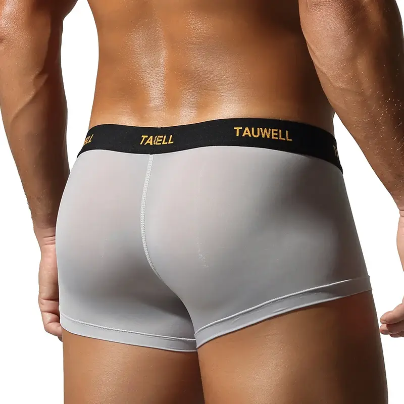 Men's Underwear Comfortable Cool Thin Sexy Semi-Transparent Flat Angle Pants with U-Shaped Pouch Briefs