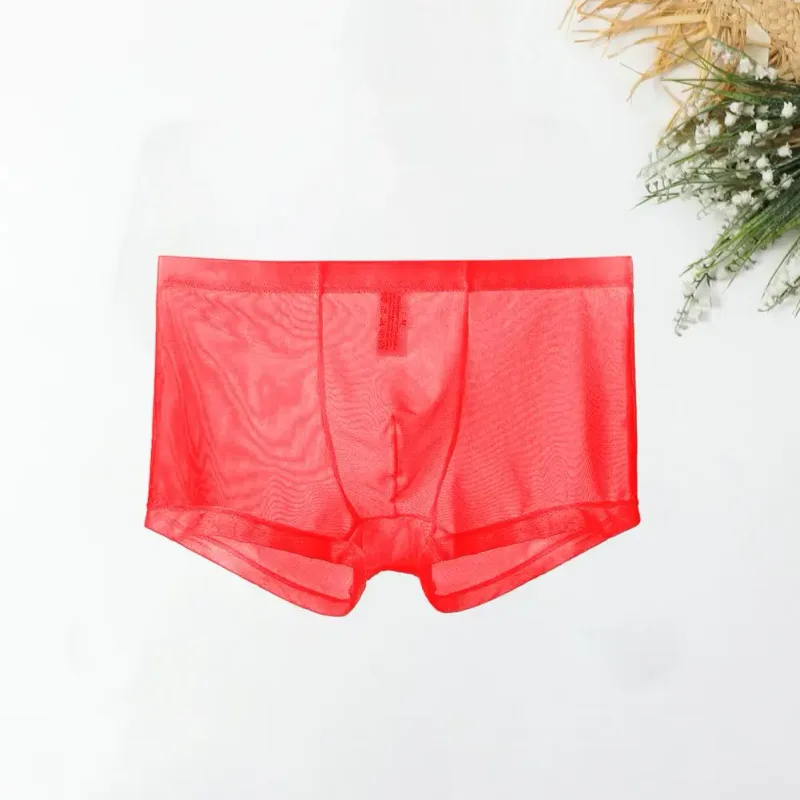 Transparante Boxers voor Mannen Doorzien Mannelijke Onderbroeken Sexy Mesh Lage Taille Ijs Zijde Dunne Koeling Heren Slipje Heren Ondergoed