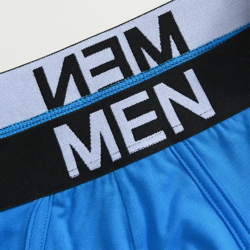 1Pcs/Set Men's Viscose Letter Panties Seamless High Quality Breathable Underpants Male Elastic Soft Comfortable Underwear S-XL