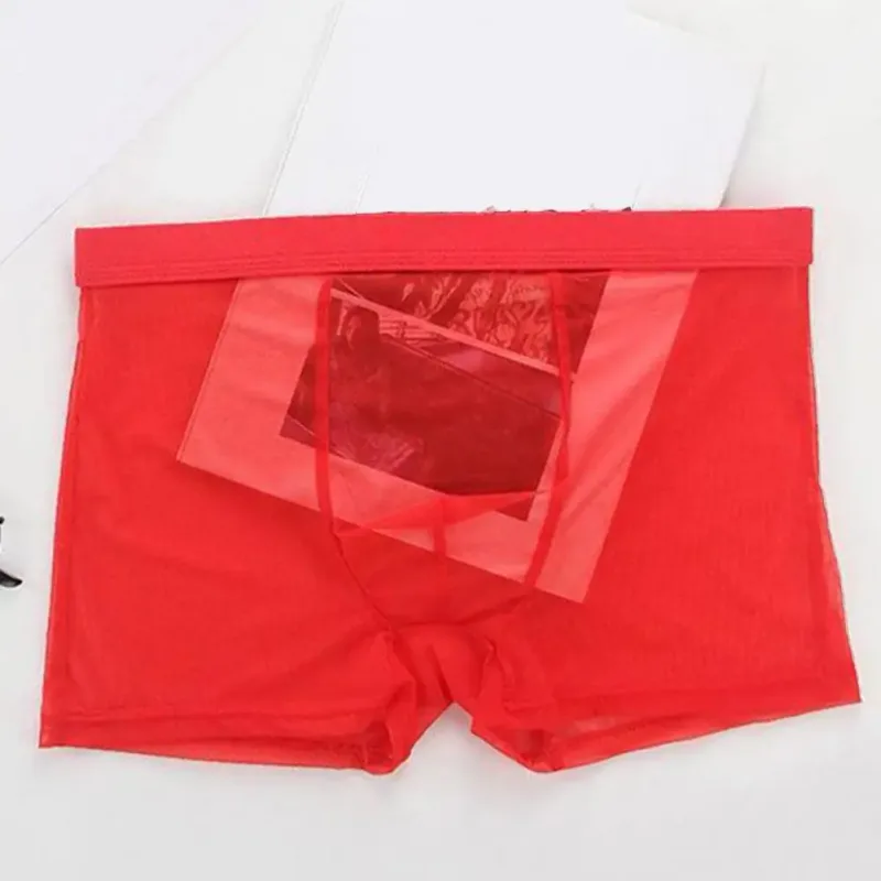 Transparante Boxers voor Mannen Doorzien Mannelijke Onderbroeken Sexy Mesh Lage Taille Ijs Zijde Dunne Koeling Heren Slipje Heren Ondergoed