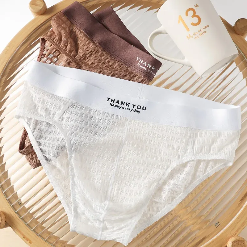 Transparent Mesh Underwear Male Ultra Thin Sheer Briefs Breathable Underpants Bulge Pouch Panties Soft Lingerie Low Rise Knicker