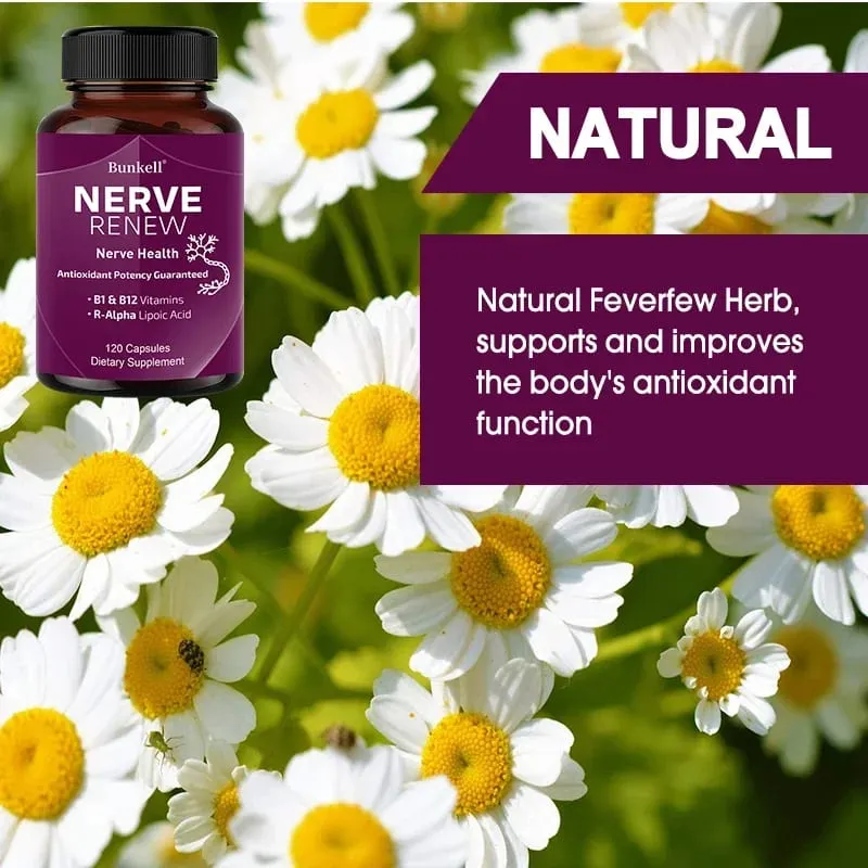 Neurological Support Capsules - Alpha Lipoic Acid Vitamins - Sinusuportahan ang Nervous System at Joint Health Bone Health — image 4