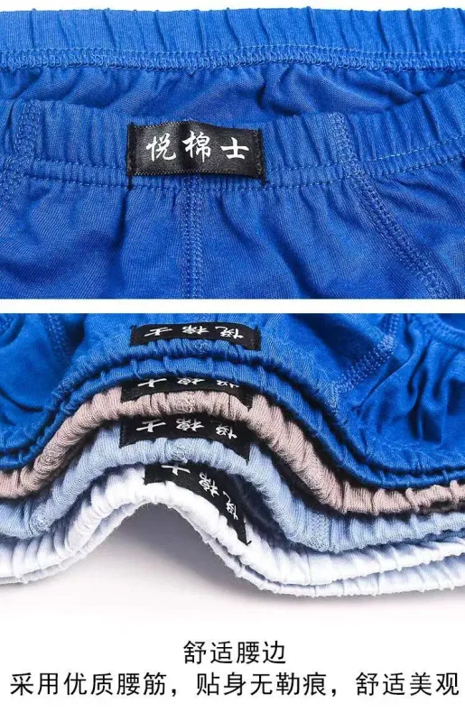5Pcs/Lot Cotton Underpants For Men Briefs Male Underwear Knickers Panties Pant Shorts 2025 Sexy Undies XL 2XL 3XL 4XL 5XL 6XL