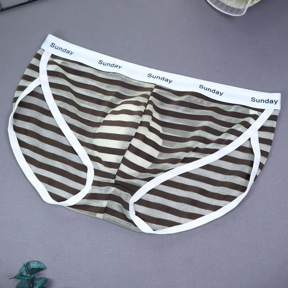 Men Casual Transparent Striped Mesh Briefs Side Fork Panties Shorts Breathable Pouch Man Comfortable Home Underwear