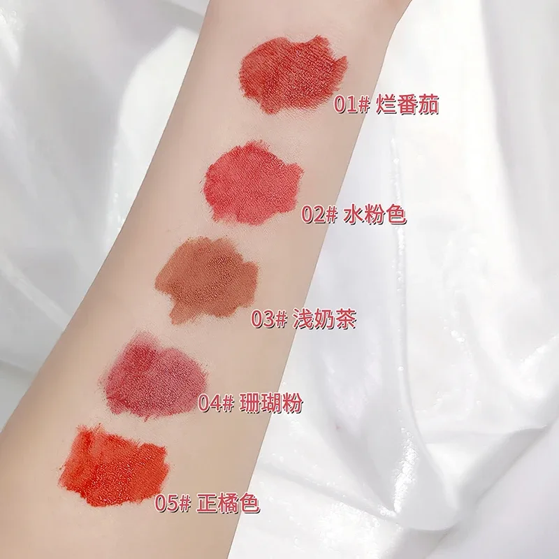 5 Χρώματα Lipgloss Σετ Μακιγιάζ Αδιάβροχο Liquid Lipstick Matte Lasting Velvet Lip Mud Sexy Red Fashion Lip Stain Cosmetics