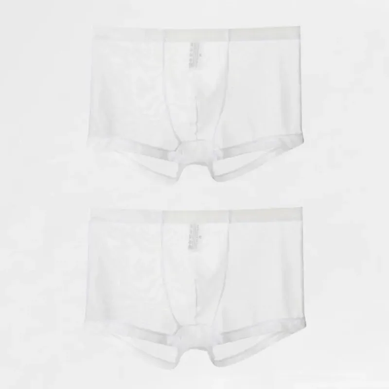 Transparante Boxers voor Mannen Doorzien Mannelijke Onderbroeken Sexy Mesh Lage Taille Ijs Zijde Dunne Koeling Heren Slipje Heren Ondergoed