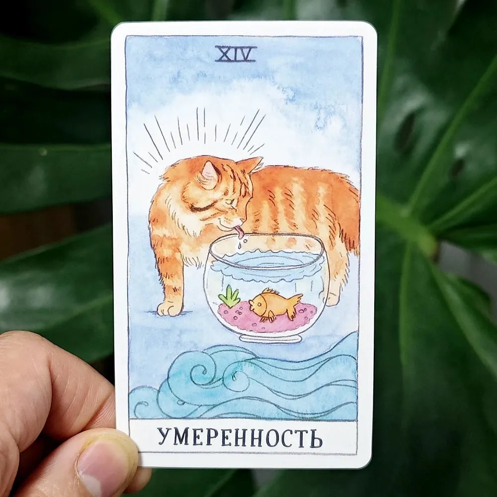 Tarot Kucing Bahasa Rusia 10.3*6Cm Menggabungkan Keaslian dengan Selera Humor Kucing 78 Buah Kartu Tarot Bertema Kucing