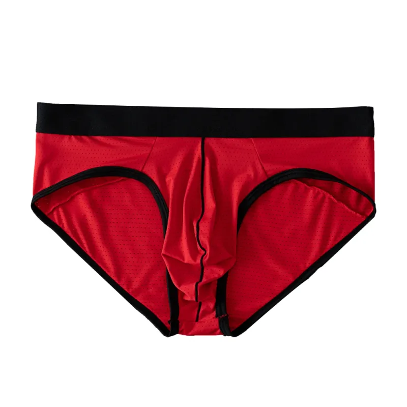 Fashion Mens Underwear Briefs Breathable Mesh Men's Panties Men Brief Bikini Underpants Back Patch Big Pouch Man Trunks D3-11