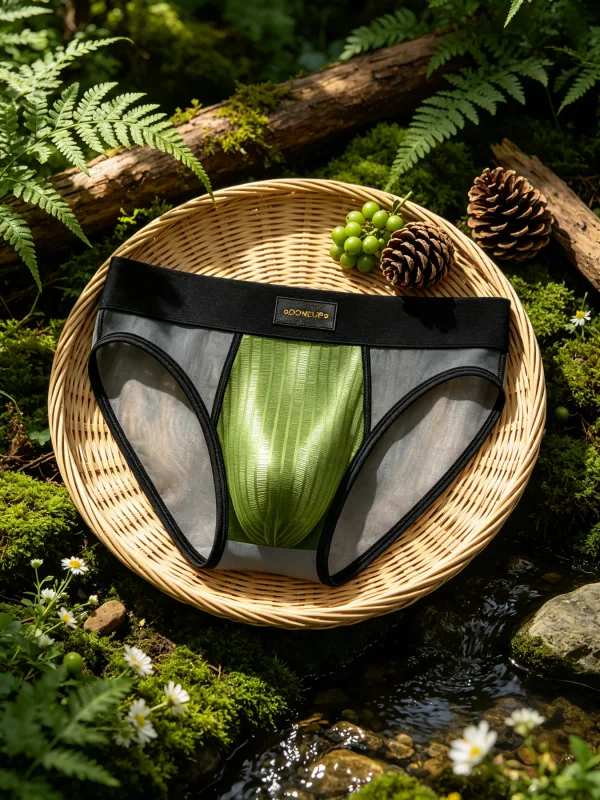 Mens Briefs Patchwork Sheer Mesh Vertical Stripe Gloss Pouch Low Waist Wide Elastic Waistband Breathable Male Underwear DP923