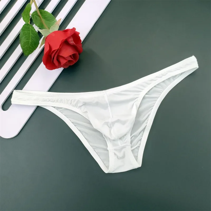 5Pcs New Youth Men's Ice Silk Brief U Pouch Underwear Low Waist Ultra Thin Transparent Underpants Sexy Plus Size Male Panties