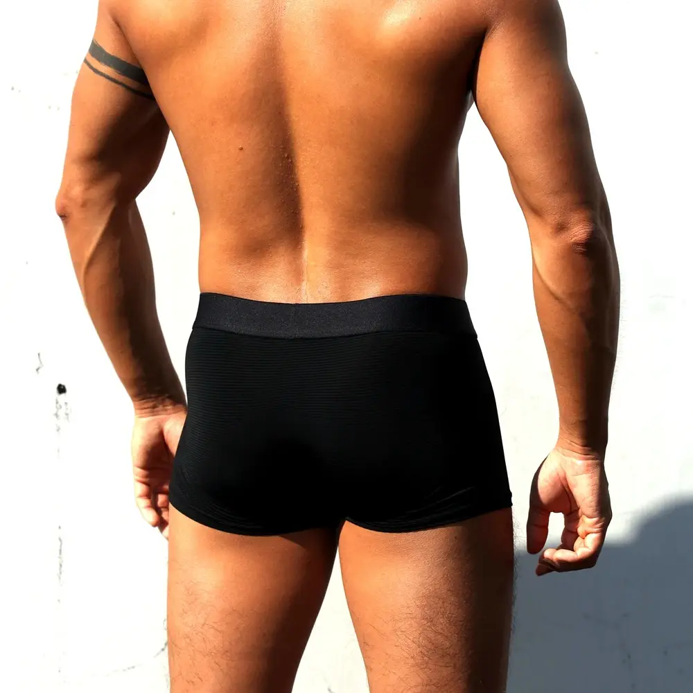 Sexy Men Underwear Boxer Shorts Transparent Mesh Underpants Trunks Men Panties Low Waist Nylon Breathable Quick Drying