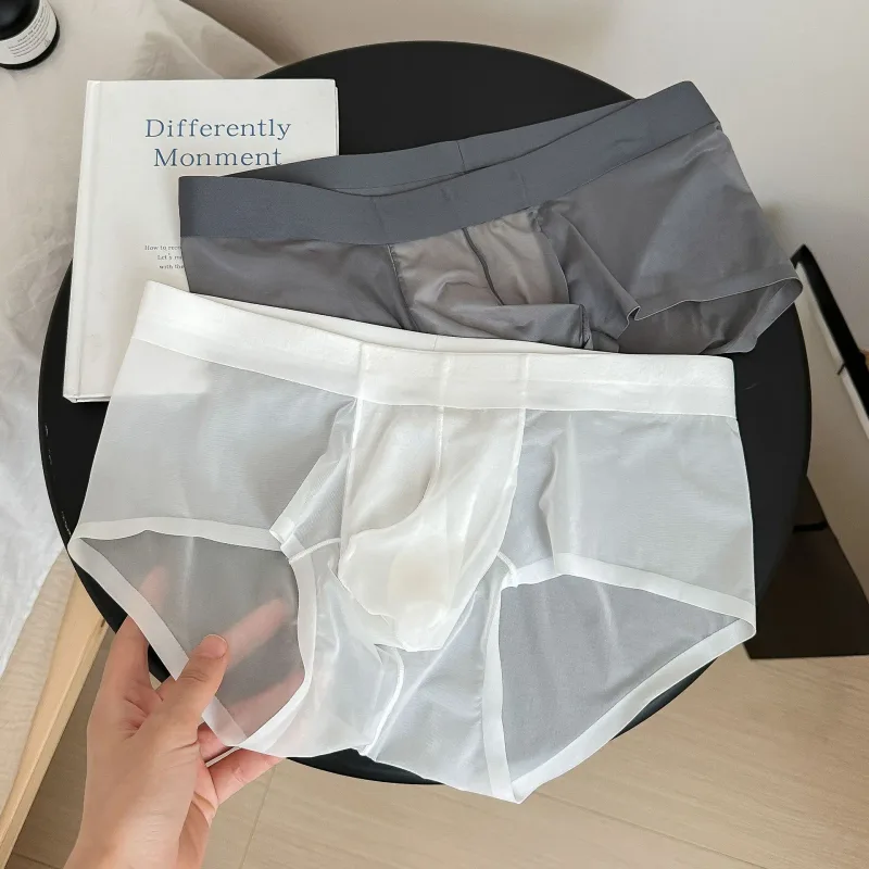 Transparante Slips Heren Ultradunne Ijs Zijde Sneldrogend Slipje Sexy U Ardennen Pouch Man Ondergoed Ademende onderbroek Cuecas
