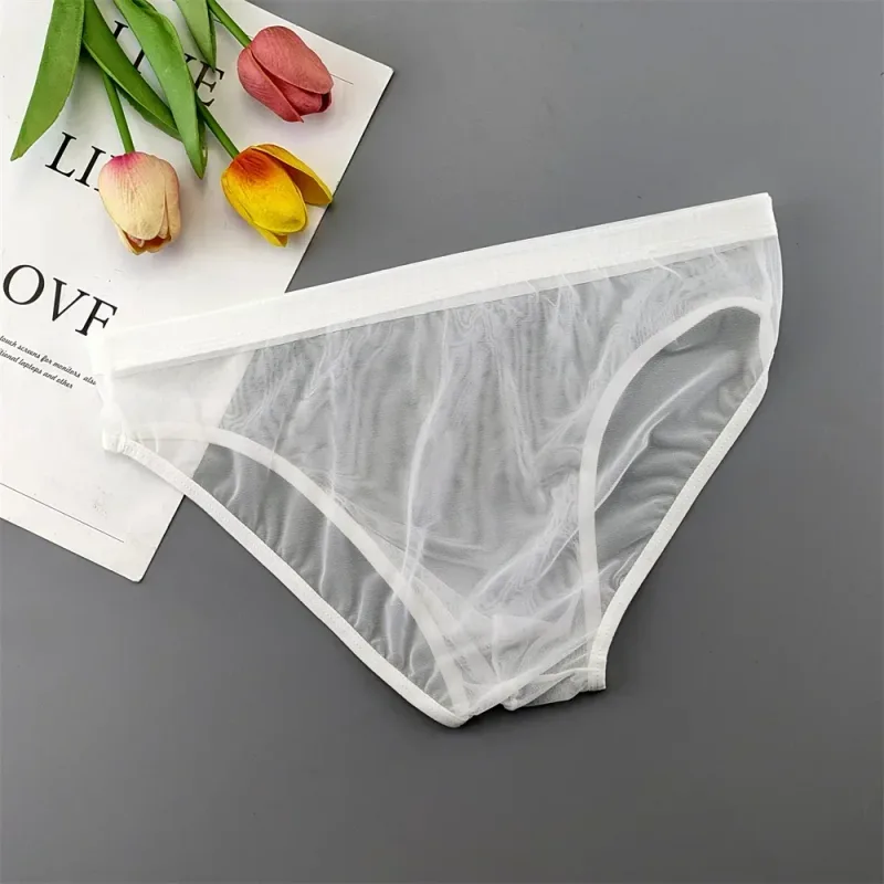 Plus Size Transparant Ondergoed Zien Door Sexy Slips voor Mannen met Zakje Nylon Hombre Slips Ademend Heren Slipje XL-4XL