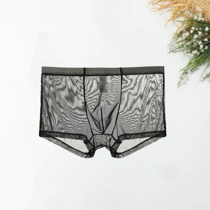 Transparante Boxers voor Mannen Doorzien Mannelijke Onderbroeken Sexy Mesh Lage Taille Ijs Zijde Dunne Koeling Heren Slipje Heren Ondergoed