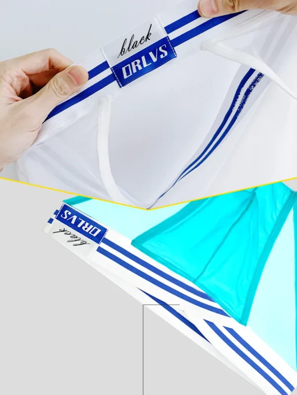Men's Ice Silk Ultra-Thin Barely-There Mesh Sheer Briefs, Striped V-Shape Elastic Waistband Summer Daily Commute Underwear