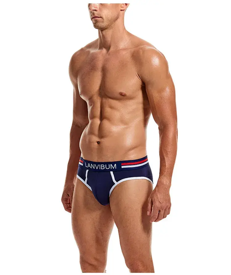 2-Piece Set - Cotton Men's Underwear Briefs Breathable Youth Mid-Waist Large-Size Men's Underwear Summer Briefs