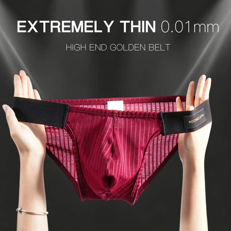 Men Vertical Stripe Mesh Bikini Briefs 3D Pouch Underwear Low Waist Elastic Waistband Breathable Male Panties DP911 3256812861254528