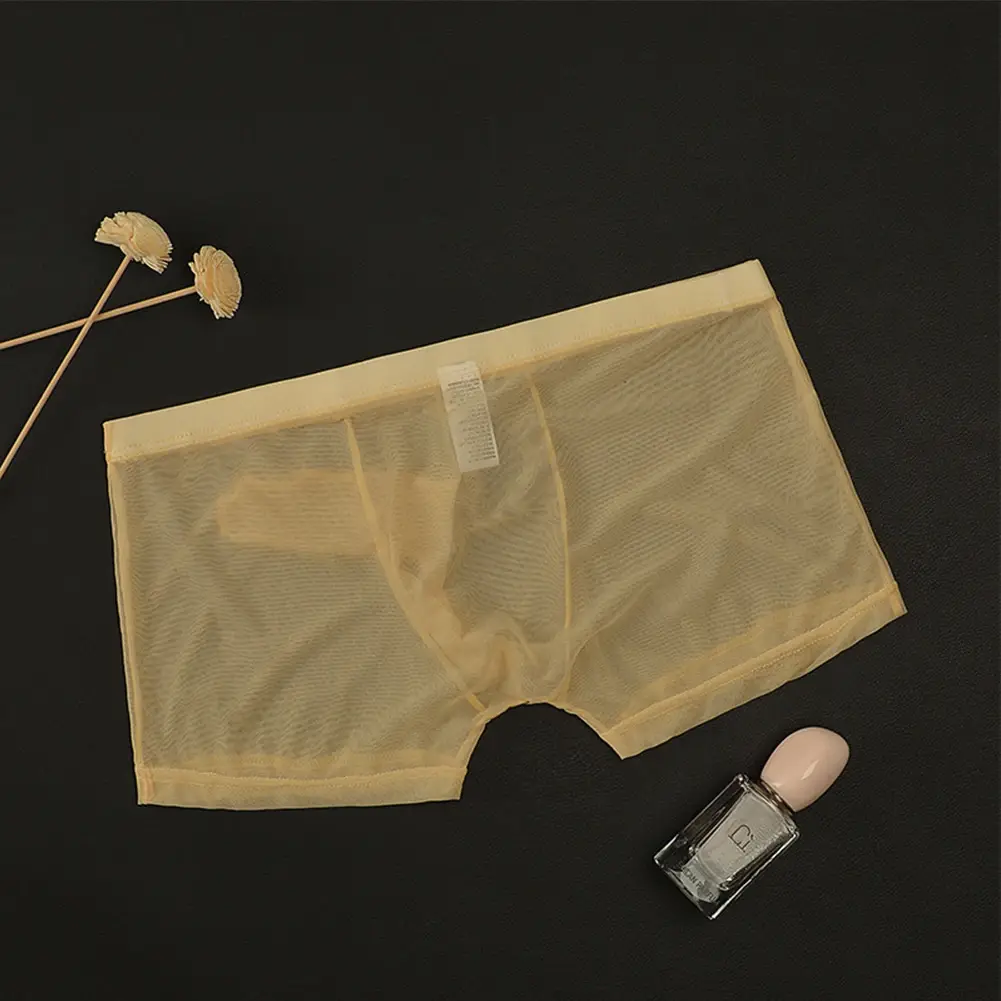 Sexy Mannen Mesh Transparant Lichtgewicht Ondergoed Zien Door Ademende Boxer Slips Slipje Bullet Scheiding Mannelijke Boxer Slipje