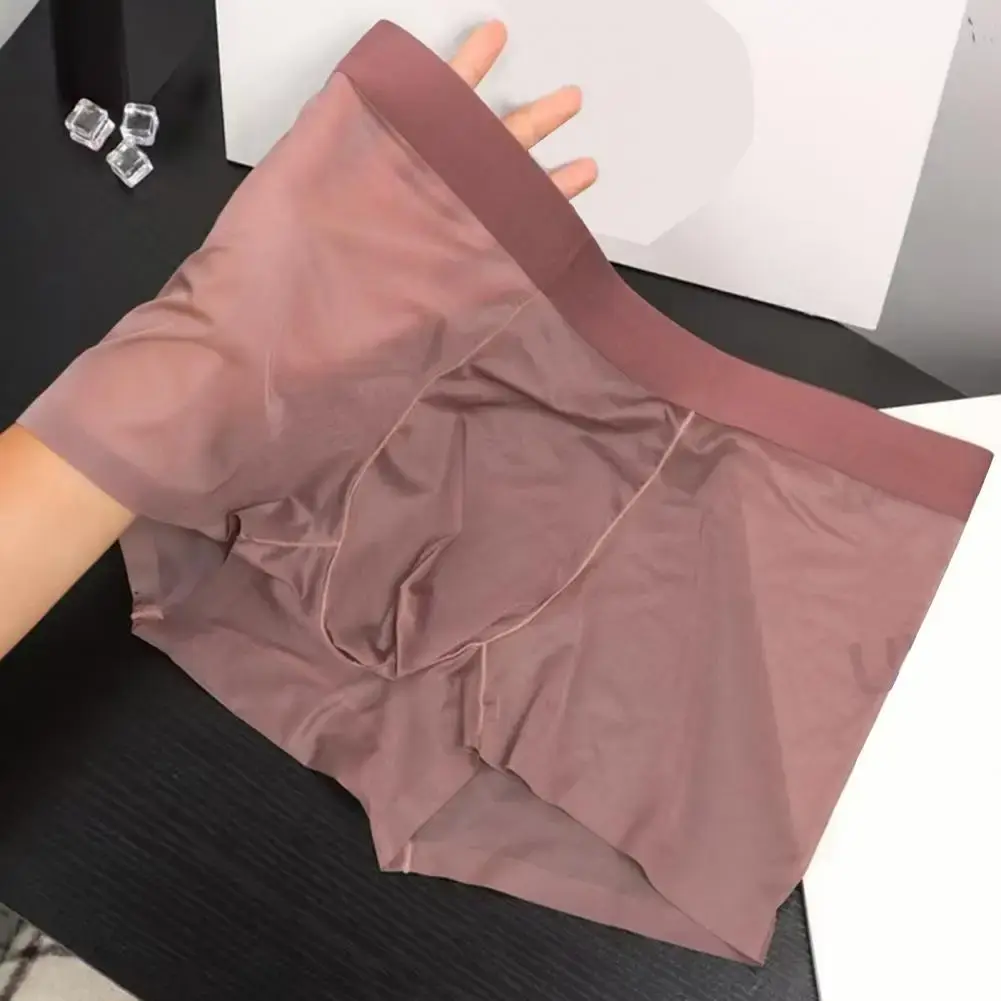 Mannen Boxer Transparant Lichtgewicht Mannen Ondergoed Elastische Mid-Taille U-Convexe Dunne Perspectief Shorts Slips Naadloze Slipje