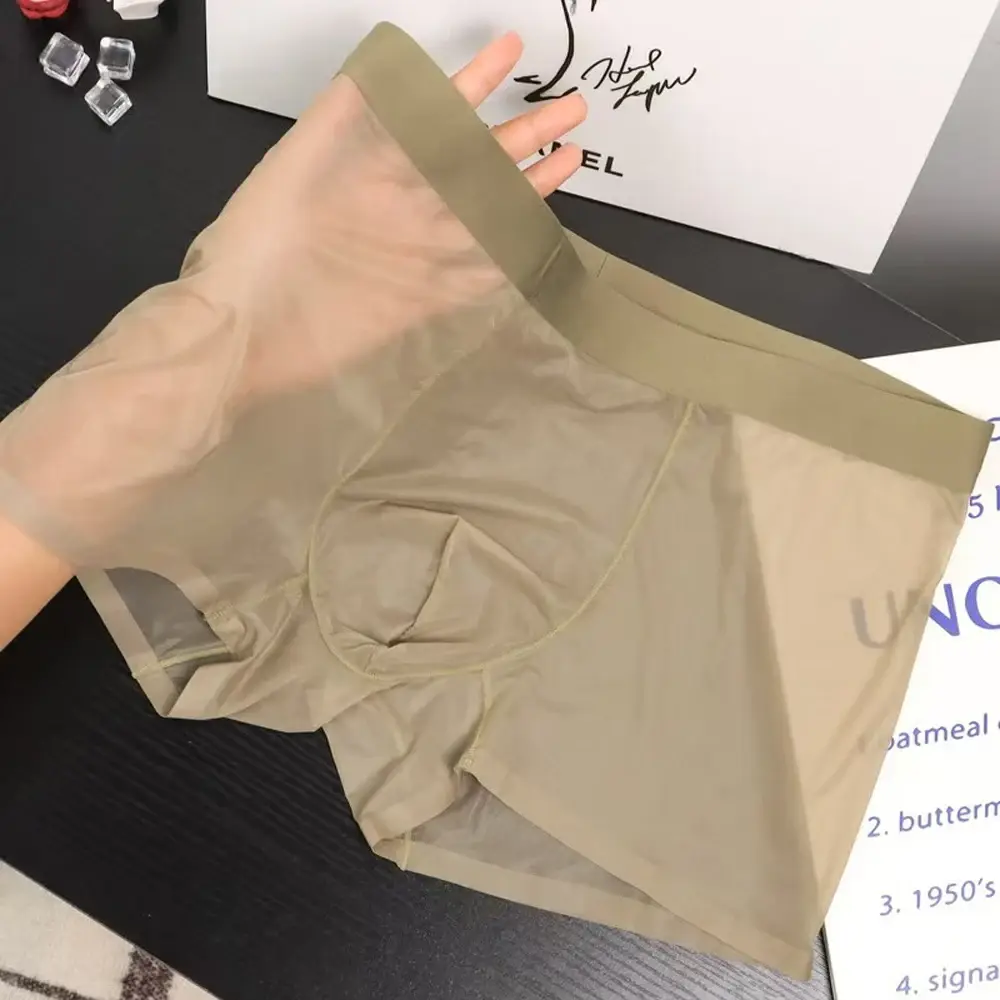 Men Sexy Elastic Men's Panties Quick Drying Ultra-thin Boxer Shorts Transparent Boxers Underwear U Bulge Pouch Sexy Und