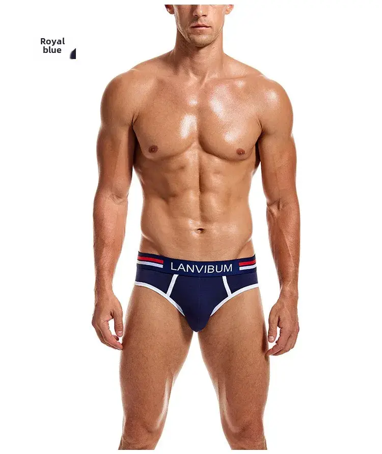 2-Piece Set - Cotton Men's Underwear Briefs Breathable Youth Mid-Waist Large-Size Men's Underwear Summer Briefs