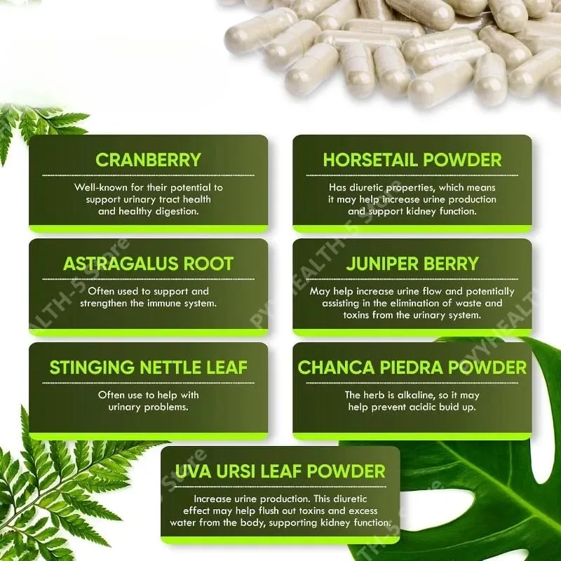 Cranberry Herbal Complex húgyutak vese egészségét támogató kapszula 60 Count Wellness támogató kiegészítő felnőtteknek