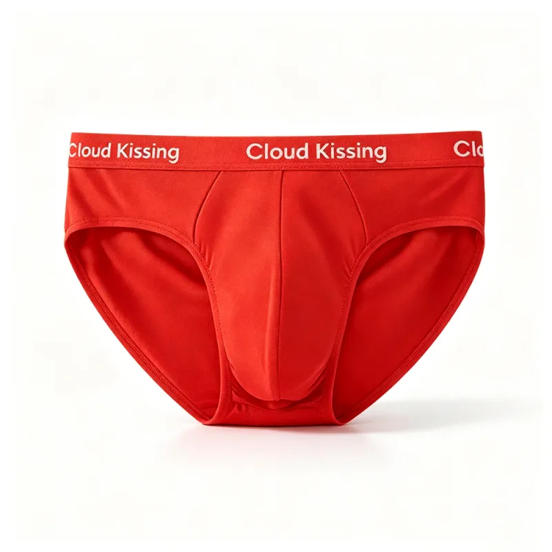 10-Piece Set Cloud Kissing Men's U-Pouch Briefs Soft Silky Breathable Premium Stretch Waistband All-Season Daily Underwear