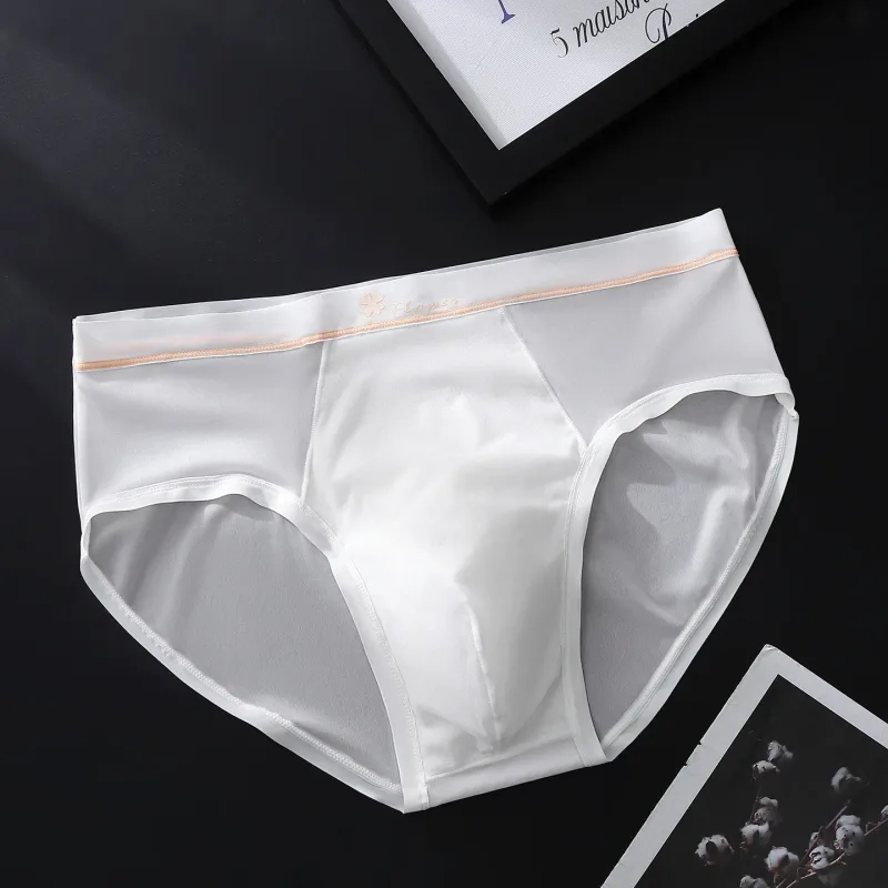 Women Panties for Men Ice Silk Seamless Brief Sexy Mesh Splicing Transparent Underwear Youth Breathable U Convex Pouch Underpant