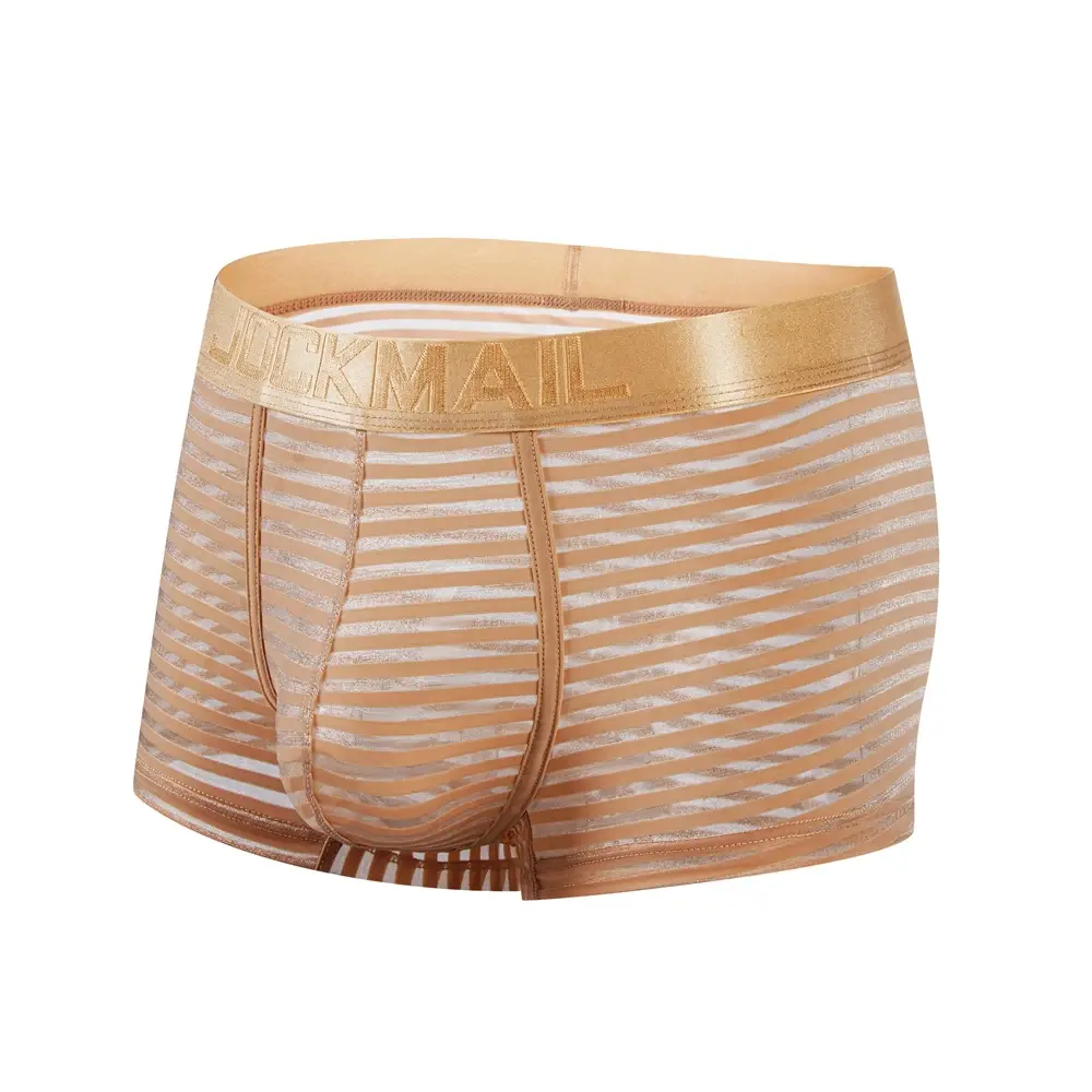 Sexy Men Underwear Boxer Shorts Transparent Mesh Underpants Trunks Men Panties Low Waist Nylon Breathable Quick Drying