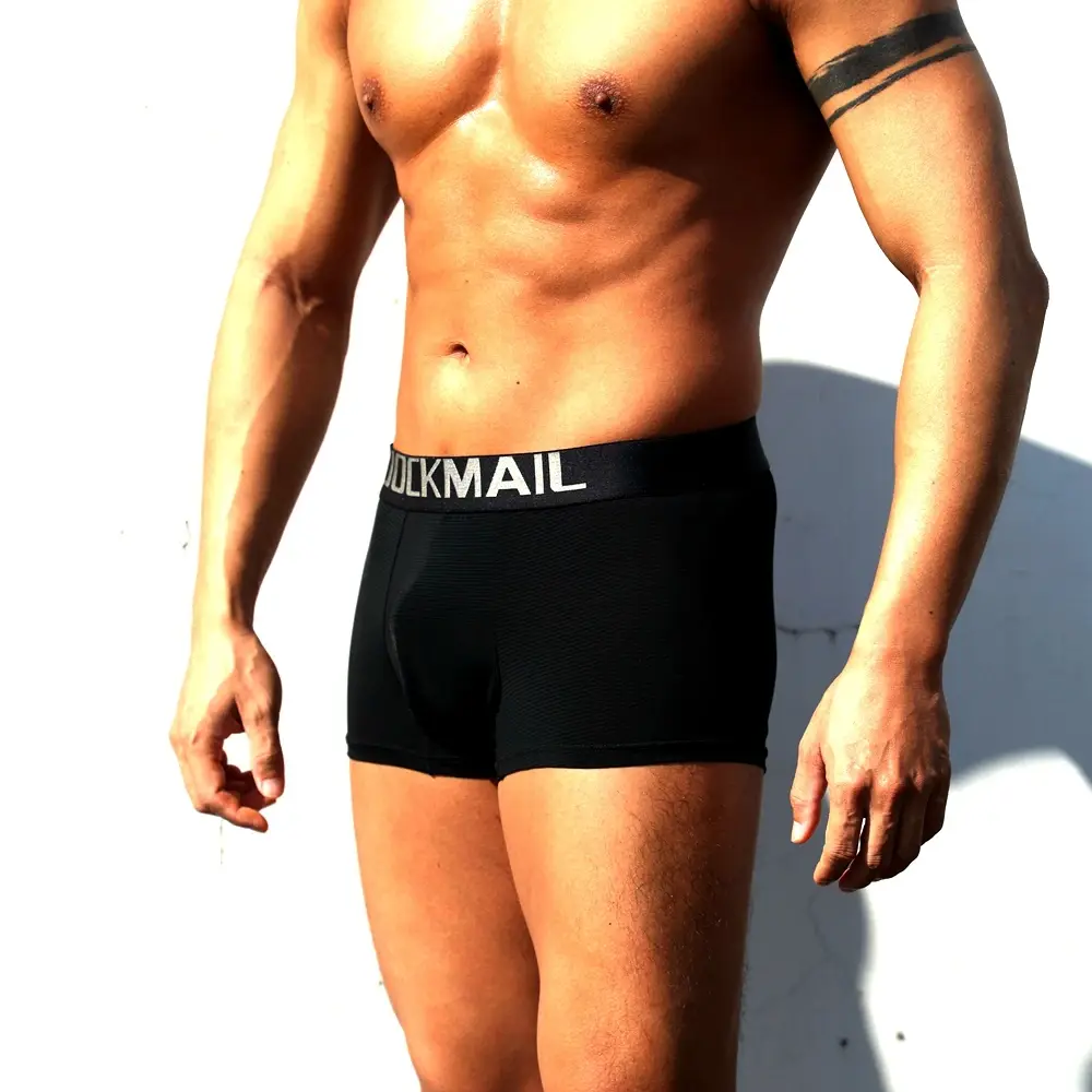 Sexy Men Underwear Boxer Shorts Transparent Mesh Underpants Trunks Men Panties Low Waist Nylon Breathable Quick Drying