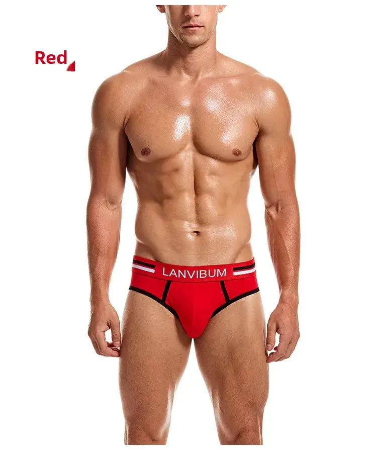 2-Piece Set - Cotton Men's Underwear Briefs Breathable Youth Mid-Waist Large-Size Men's Underwear Summer Briefs