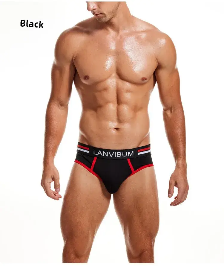 2-Piece Set - Cotton Men's Underwear Briefs Breathable Youth Mid-Waist Large-Size Men's Underwear Summer Briefs