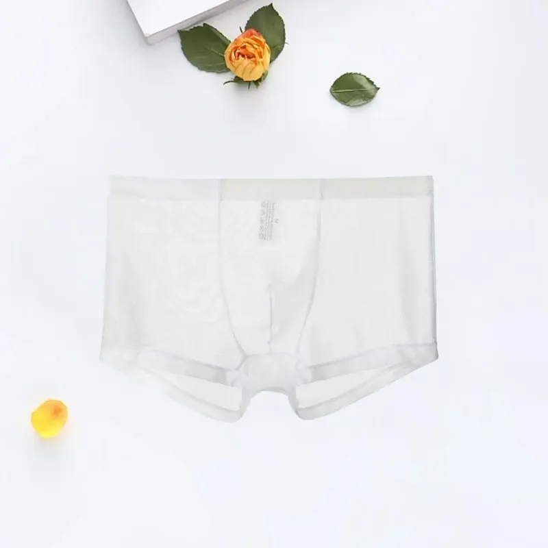 Transparante Boxers voor Mannen Doorzien Mannelijke Onderbroeken Sexy Mesh Lage Taille Ijs Zijde Dunne Koeling Heren Slipje Heren Ondergoed