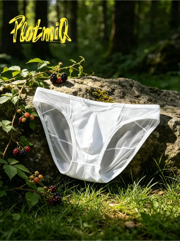 1PCS Mens Spliced Sheer Bikini Underwear Black Mesh Panel Design Soft Elastic Material 3D Contour Pouch Male Briefs