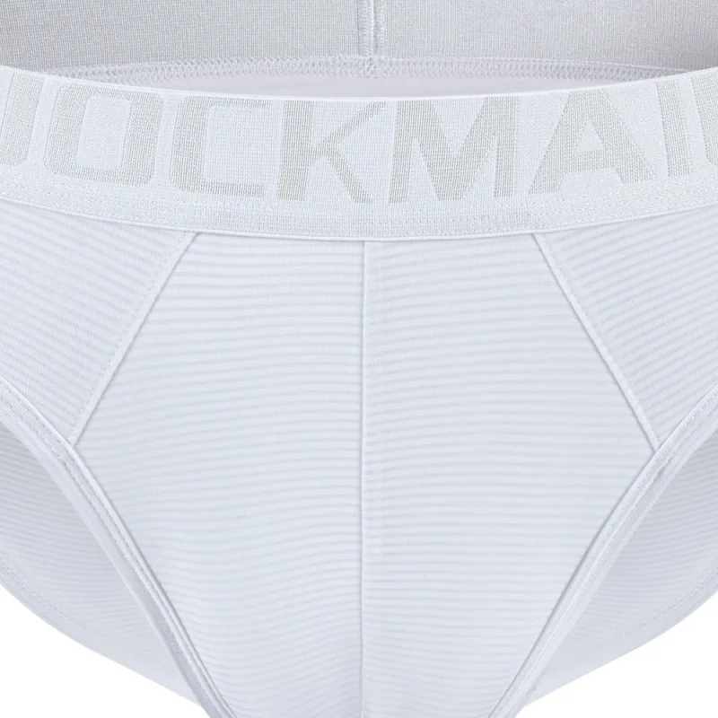 Men Underwear Brief Sexy Low-rise Striped Bikini Athletic Supporters Underpants Sleepwear Nylon Quick Dry Breathable