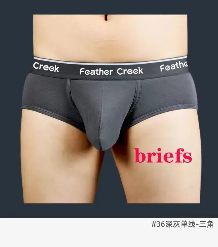 2026 Men's U-Shaped Large Bag Underwear Sexy Briefs Comfortable Innerwear for Men