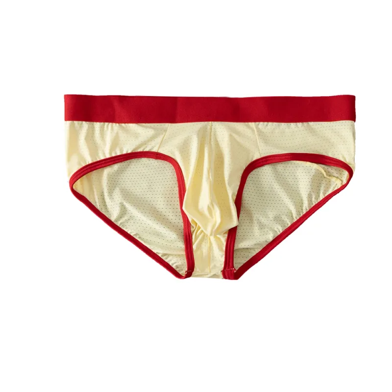 Fashion Mens Underwear Briefs Breathable Mesh Men's Panties Men Brief Bikini Underpants Back Patch Big Pouch Man Trunks D3-11