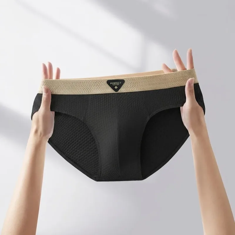 1Pcs Briefs Men Underwear Sexy Lingerie Male Panties Nylon Solid Underpants Breathable Cueca Causal Calcinha Wholesale Lots