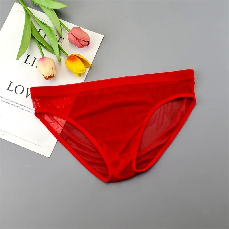 Plus Size Transparant Ondergoed Zien Door Sexy Slips voor Mannen met Zakje Nylon Hombre Slips Ademend Heren Slipje XL-4XL