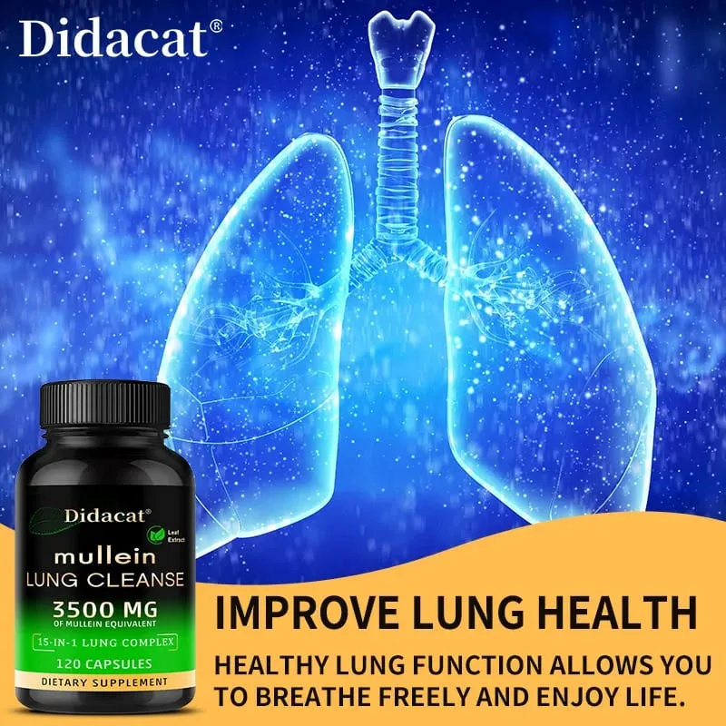 Mullein Leaf Extract Supplement Vitamin C Mineral Lung Cleansing Immune System Support 120 Capsules Health Supplement