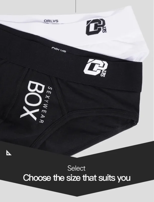 1/2Pcs High Quality Low Waist Sexy Mens Underwear Briefs Letter Print Men's Lingerie Cotton Men's Briefs Bikini Man Underpants