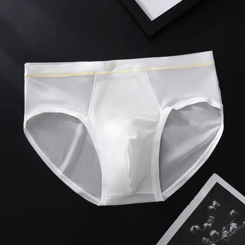 Women Panties for Men Ice Silk Seamless Brief Sexy Mesh Splicing Transparent Underwear Youth Breathable U Convex Pouch Underpant