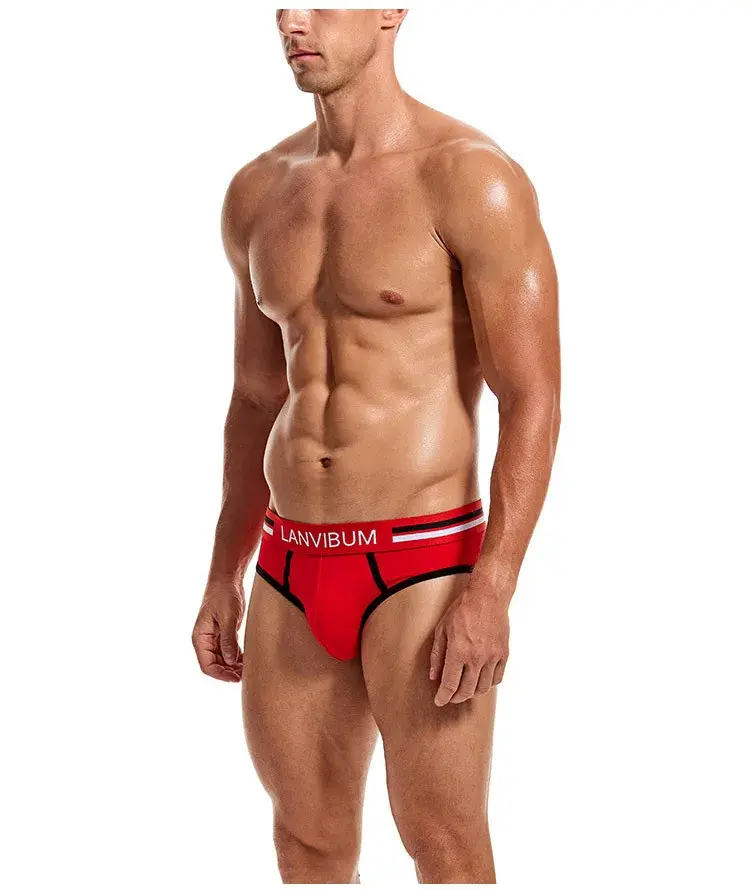 2-Piece Set - Cotton Men's Underwear Briefs Breathable Youth Mid-Waist Large-Size Men's Underwear Summer Briefs