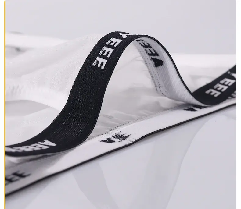 Men's Underwear Ultra-Thin Ice Silk Transparent Briefs Low-Rise U-Shaped Pouch with Separate Design