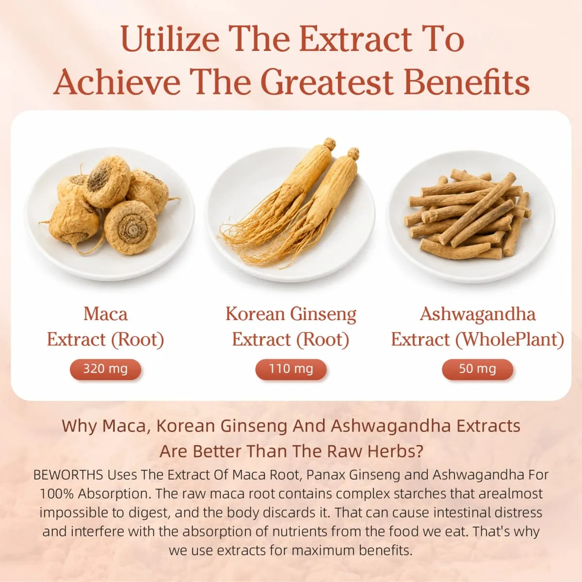 Best Maca Capsules for Men Health with Red Yellow and Black Maca