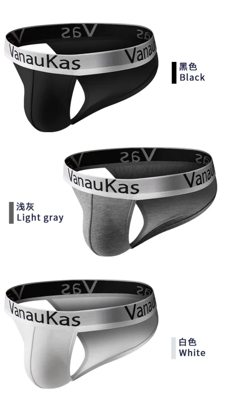 Men's High Cut Panties Soft Modal Fabric Low Rise Briefs Sexy Comfortable Underwear